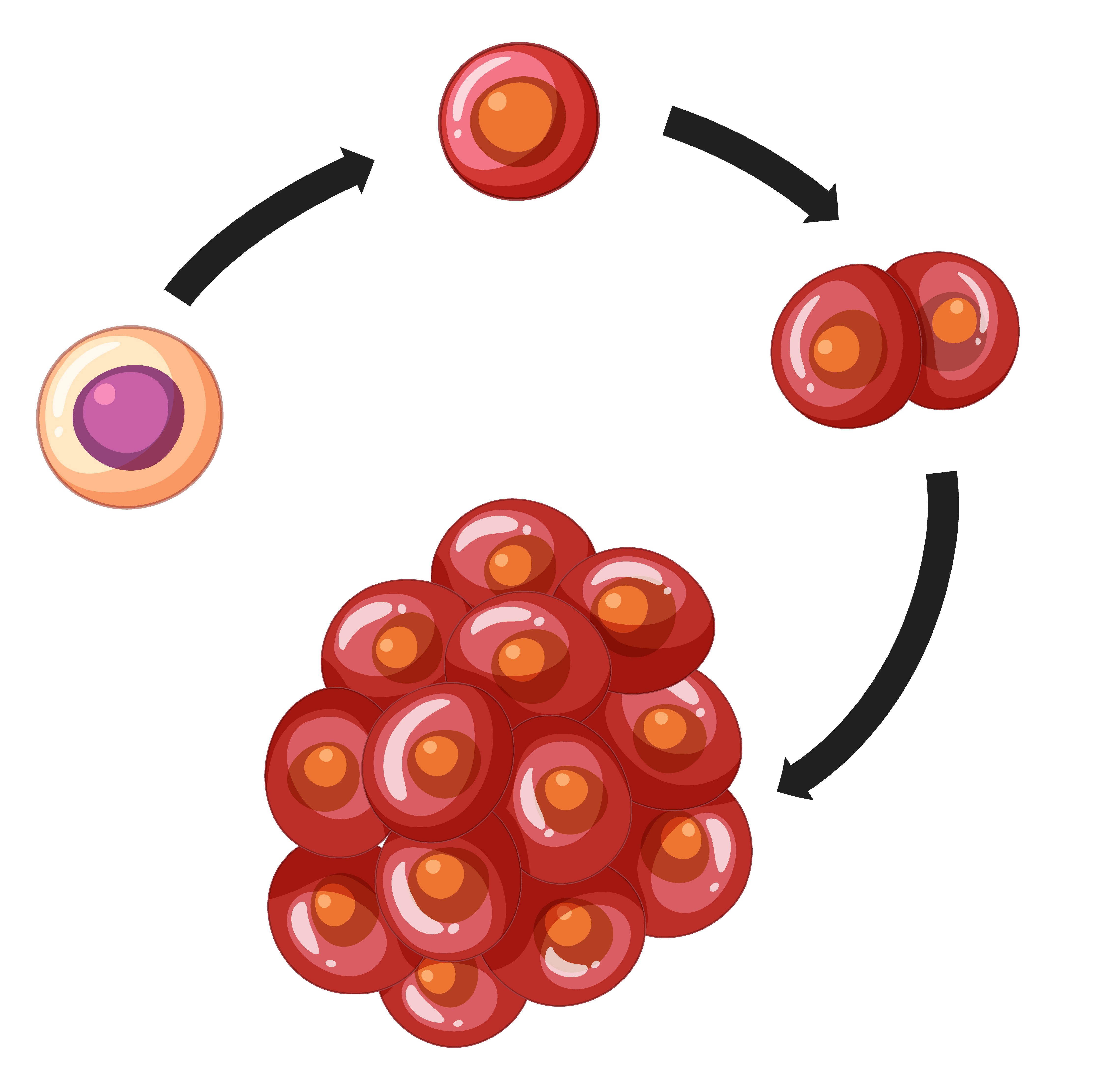Tumours develop process